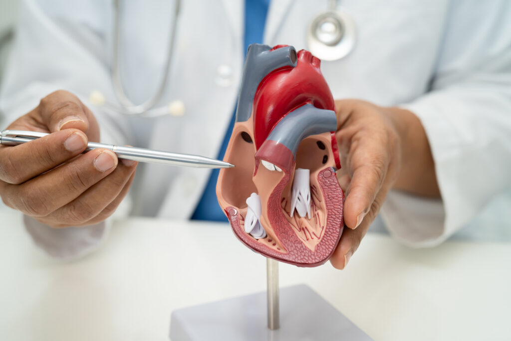 Repararea valvelor cardiace: opțiuni și avantaje